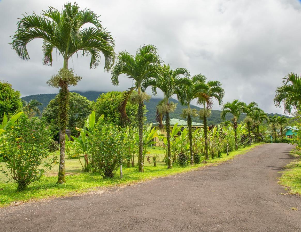 Hotel & Hot Springs Sueno Dorado La Fortuna Εξωτερικό φωτογραφία